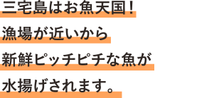 三宅島はお魚天国！漁場が近いから新鮮ピッチピチな魚が水揚げされます。