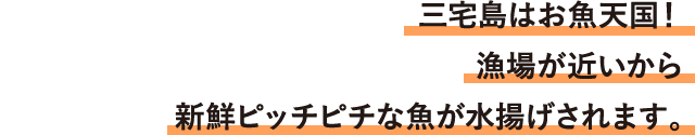 三宅島はお魚天国！漁場が近いから新鮮ピッチピチな魚が水揚げされます。