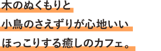 木のぬくもりと小鳥のさえずりが心地いいほっこりする癒しのカフェ。